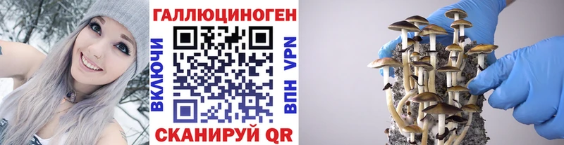 KRAKEN маркетплейс купить наркоту Оренбург Галлюциногенные грибы Psilocybe